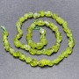 Koraliki z chryzolitu na nitce, naturalny nieobrobiony kamień, fasetowane koraliki, średnica 8×6 mm, długość 40 cm