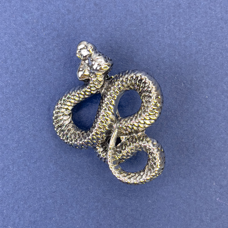 Broszka-wisiorek «Żmija», metal srebrzysty, 40×31 mm +