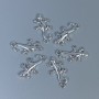 Zawieszka – galanteria jubilerska „Jaszczurka”, kolor srebrny, wymiary 23×13×2 mm, otwór 2 mm, opakowanie 12 szt.