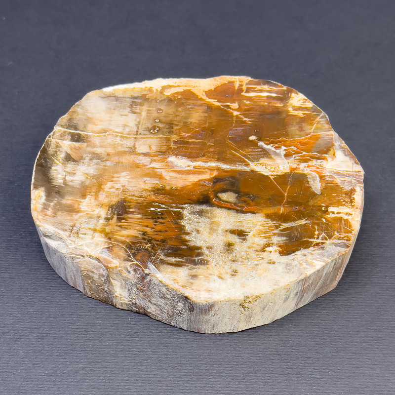 Cena za 100 g. Suvenirowy naturalny przekrój skamieniałego drewna, wymiary około 90×80×23 mm, waga około 250 g