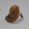 Pierścionek Amonit 25×30 mm ± bez, wymiary srebrzysty metal