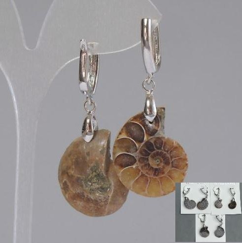 Kolczyki z naturalnymi amonitami 24×17×6 mm, długość ok. 50 mm, różne rozmiary