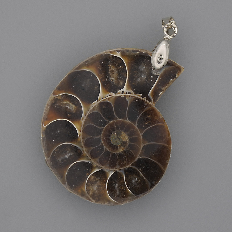 Wisiorek z amonitu 35×28 mm, długość 45 mm, asortyment rozmiarów (1 szt.)