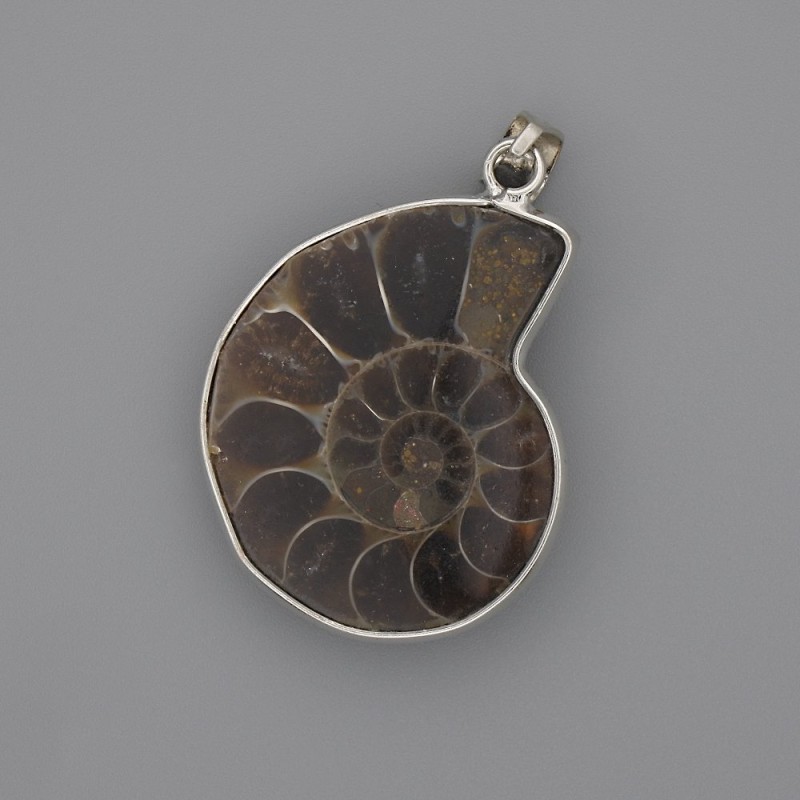 Wisiorek z amonitu w srebrzystej oprawie 30×26 mm, długość około 43 mm, różne rozmiary (dla 1 sztuki)