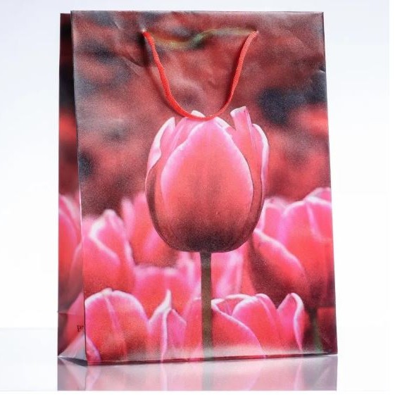 Wyprzedaż! Torebka prezentowa 18×24 cm (materiał PE)