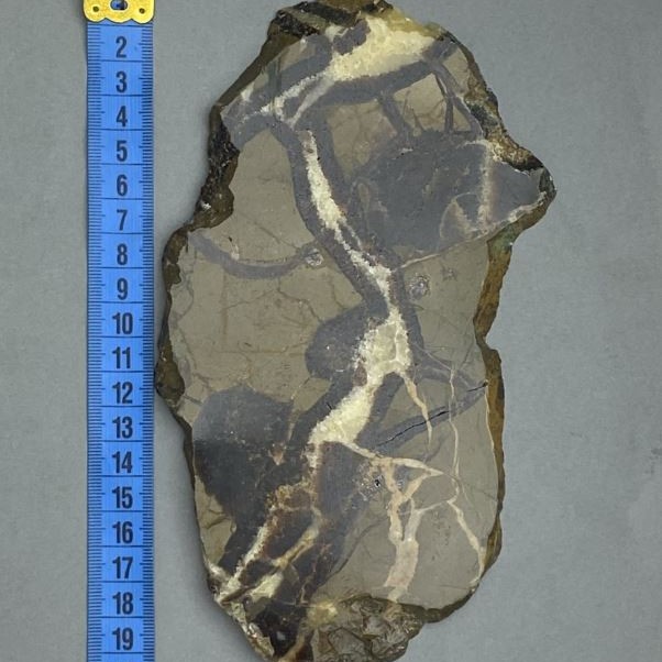 Pamiątkowa płyta z naturalnego kamienia septaria 19×11×0,9 cm ± (waga 341 g)