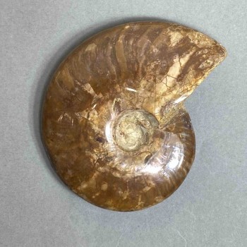 Amonit – kamień pamiątkowy, średnica ok. 88 mm, waga 156 g (cena za sztukę)