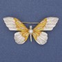 Broszka Motyl z białymi kryształami, emaliowana, metal złocisty, 60×35 mm +