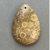 Wisiorek ze skamieniałego korala 35×23 mm+
