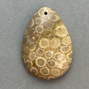 Wisiorek ze skamieniałego korala 35×23 mm+
