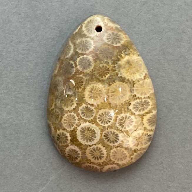 Wisiorek ze skamieniałego korala 35×23 mm+
