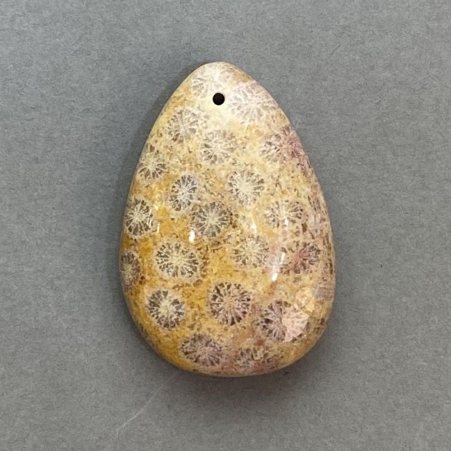 Wisiorek z skamieniałego koralu 39×27 mm+