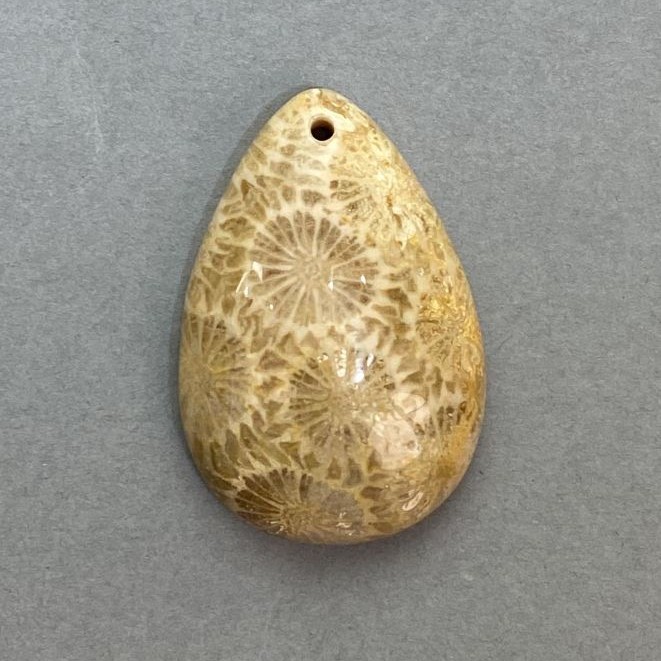Wisiorek z skamieniałego koralu 36×24 mm+