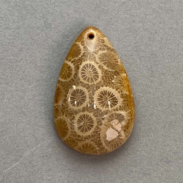 Wisiorek z skamieniałego korala 37×23 mm+