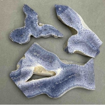 Cena za 100 g! Pamiątkowa płyta z naturalnego kamienia – koral porowaty, od 50×65×10 mm ± do 110×70×10 mm ±, różne rozmiary