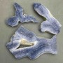 Cena za 100 g! Pamiątkowa płyta z naturalnego kamienia – koral porowaty, od 50×65×10 mm ± do 110×70×10 mm ±, różne rozmiary