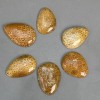 Wisiorek z skamieniałego korala, 45-55×35-40 mm ±, w asortymencie rozmiarów