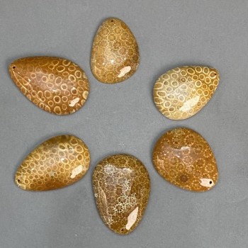 Wisiorek z skamieniałego korala, 45-55×35-40 mm ±, w asortymencie rozmiarów