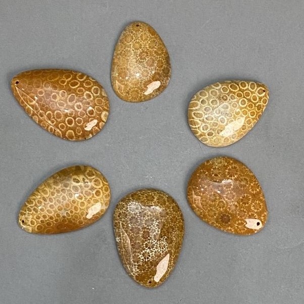 Wisiorek z skamieniałego korala, 45-55×35-40 mm ±, w asortymencie rozmiarów