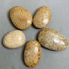 Wisiorek ze skamieniałego koralu 40–55×30–40 mm ± różne rozmiary