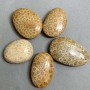 Wisiorek ze skamieniałego koralu 40–55×30–40 mm ± różne rozmiary
