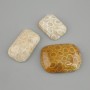 Kaboszon z skamieniałego korala 30-36×20-25 mm (różne rozmiary)