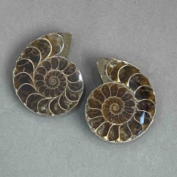 Amonit pamiątkowy kamień, średnica asortymentu 37×44 mm ± (w opakowaniu para) waga 54 g
