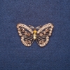Broszka „Motyl” w złocistych kryształach, kolor metalu: złoto, 4,5×3 cm