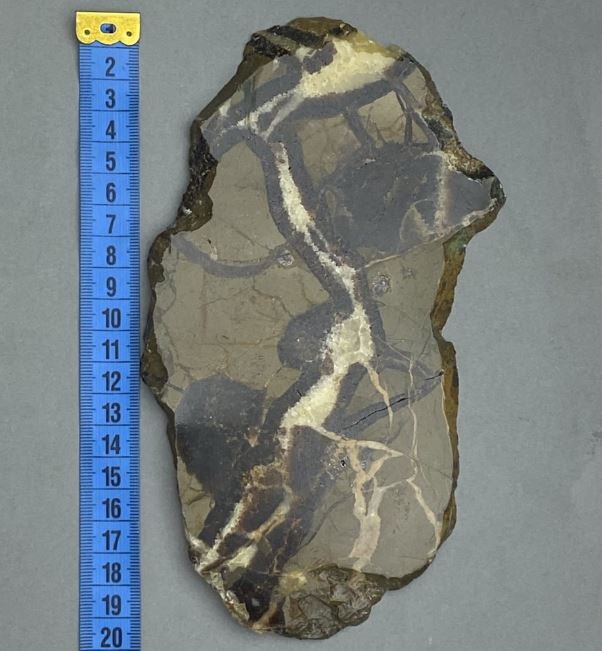 Pamiątkowa płyta z naturalnego kamienia septaria 19×11×0,9 cm ± (waga 341 g)